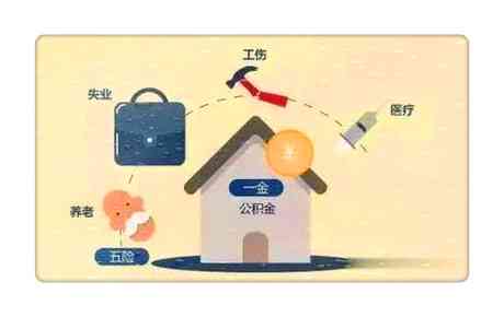 怎样查美团逾期信息记录和内容