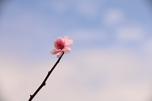 花呗逾期于还完了会怎么样