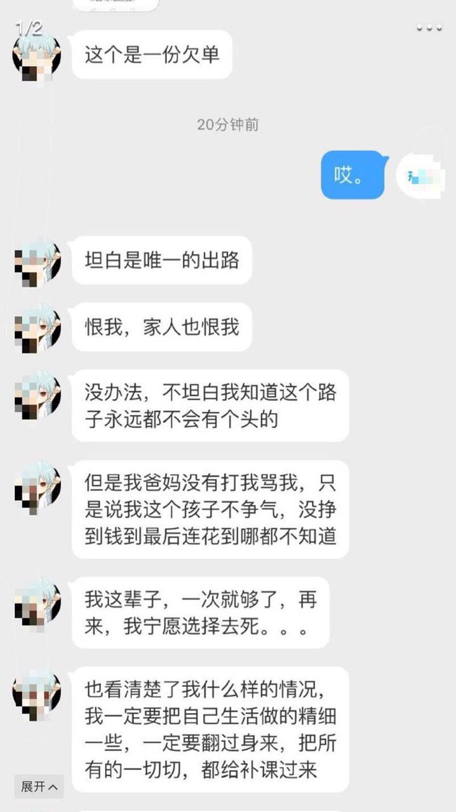 网贷欠款20w如何自救