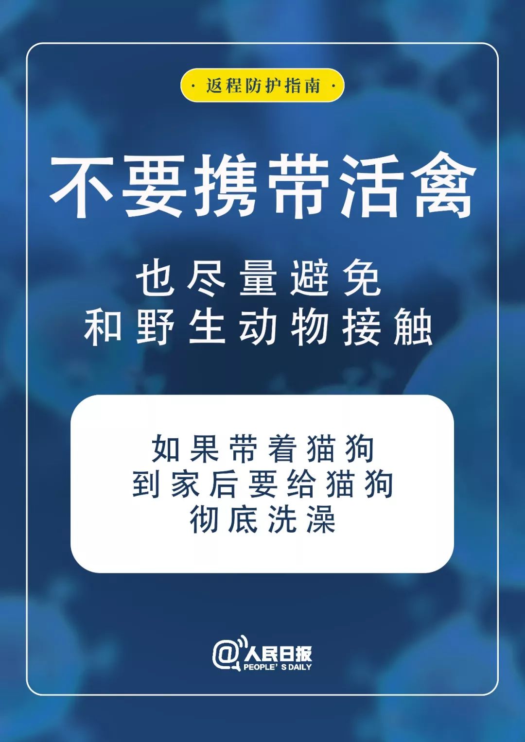 网贷没钱还了可以等有钱再还嘛知乎怎么办