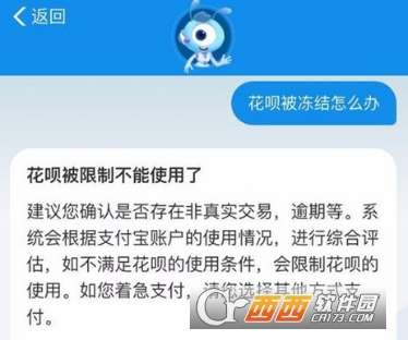 支付宝逾期花呗无法使用，如何解决？