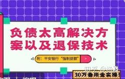 负债30万怎么解决问题