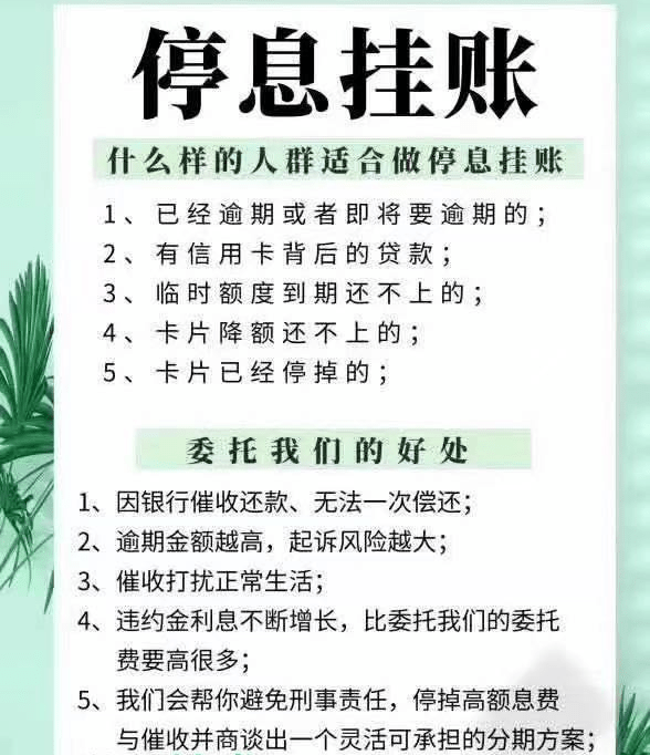 协商还款利息能减半吗及相关政策与风险