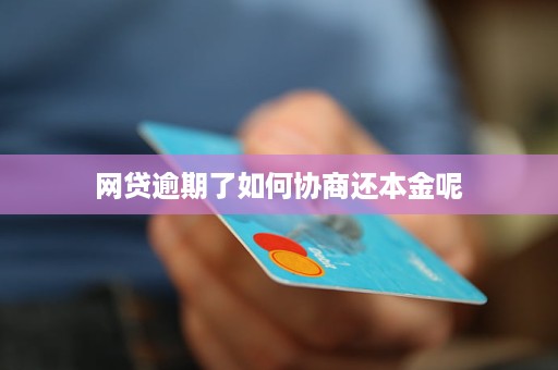 网贷逾期3年怎么协商还款还本金