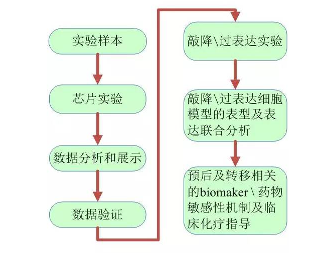 撤销网贷起诉，流程及影响分析