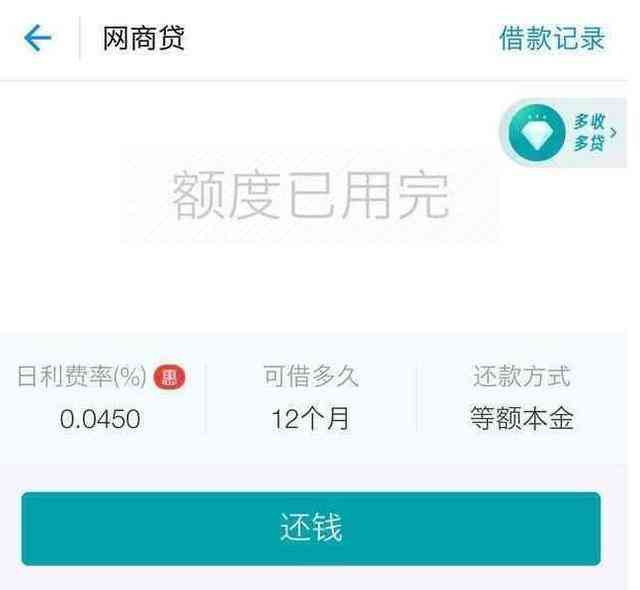 网商贷还进去了，为何没有借出额度，何时能借出来？