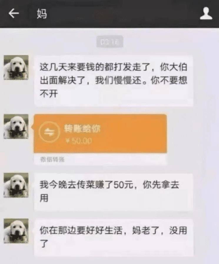 怎么像母借钱还网贷