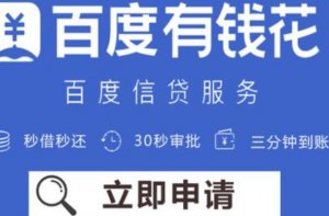 哪里可以贷款20万还网贷