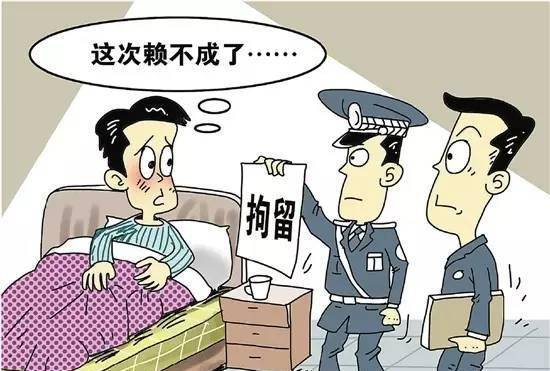 儿子欠网贷母该不该还钱？