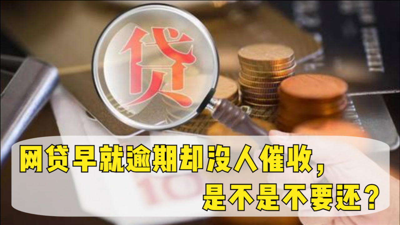 网贷催收说我拒绝偿还怎么办？