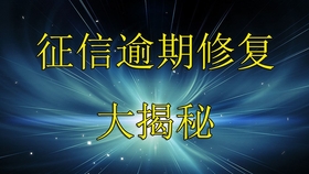 支付宝网商贷不能够协商还款