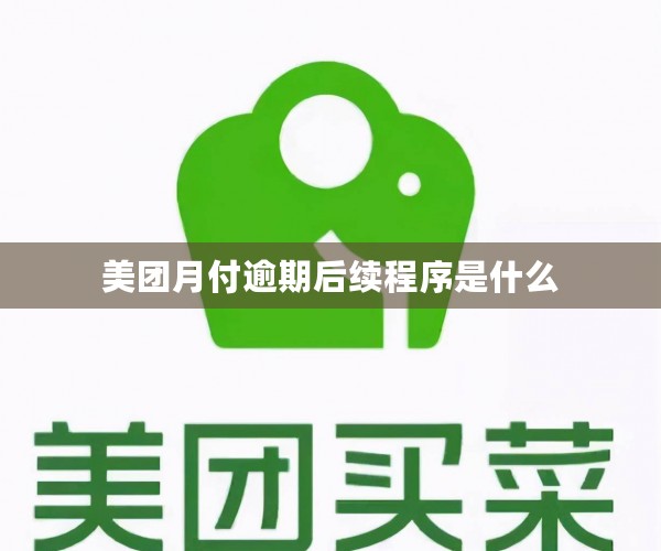 美团月付逾期后续程序是什么