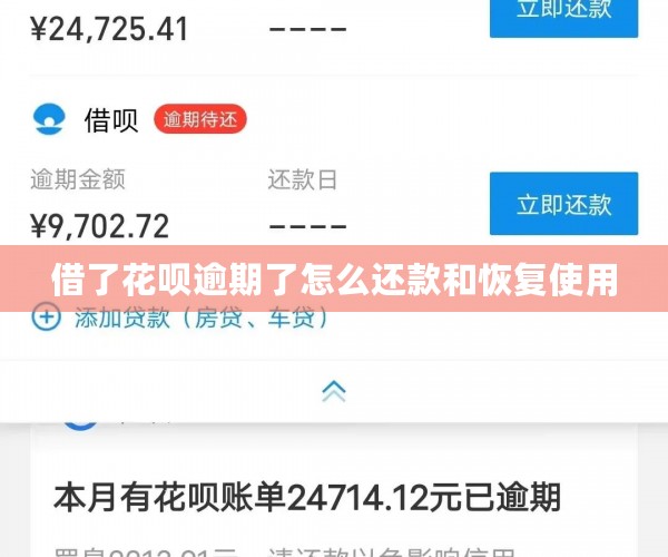 借了花呗逾期了怎么还款和恢复使用