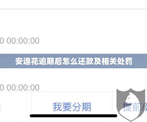 安逸花逾期后怎么还款及相关处罚