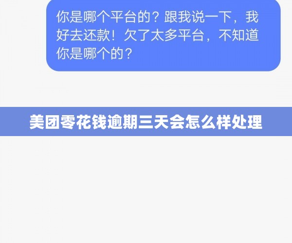 美团零花钱逾期三天会怎么样处理