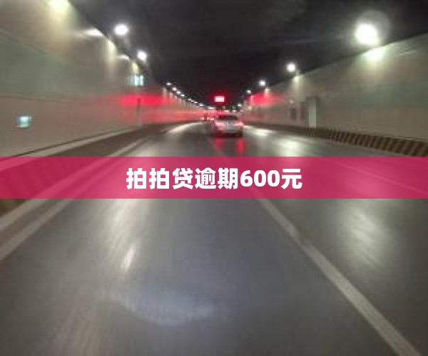 拍拍贷逾期600元