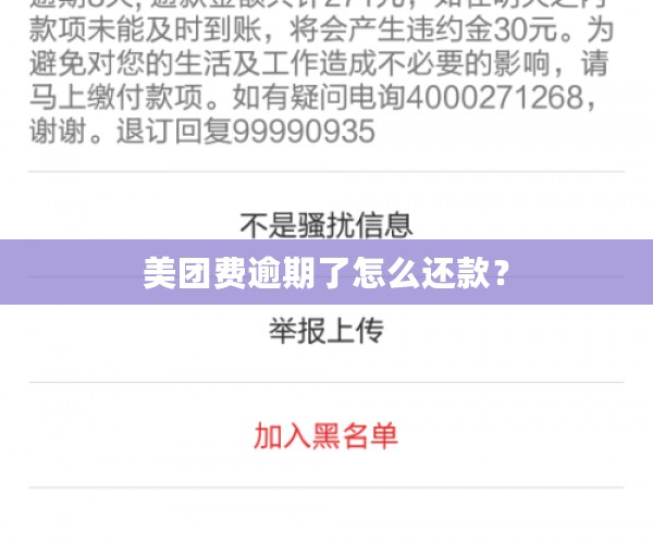 美团费逾期了怎么还款？