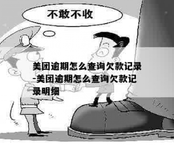 美团怎么看逾期记录和消除