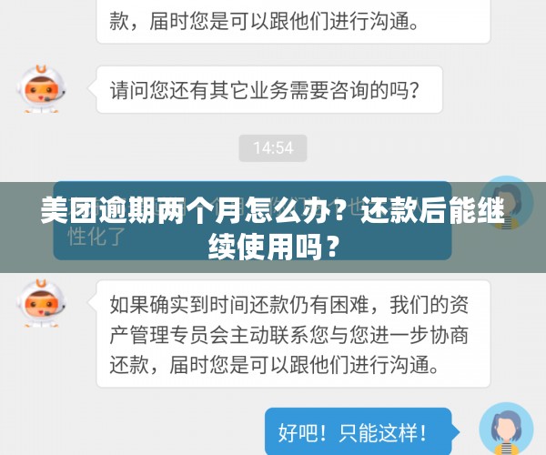 美团逾期两个月怎么办？还款后能继续使用吗？