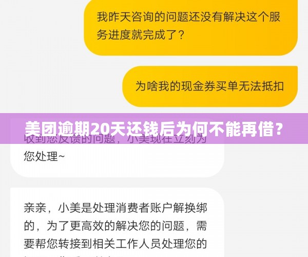 美团逾期20天还钱后为何不能再借？