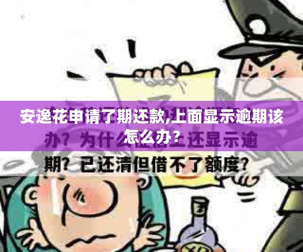 安逸花申请了期还款,上面显示逾期该怎么办？