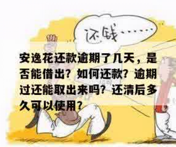 安逸花逾期几天进去了，还能取出来吗？