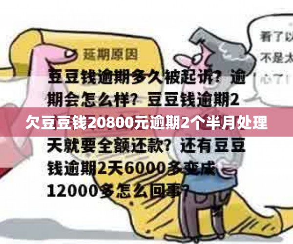 欠豆豆钱20800元逾期2个半月处理