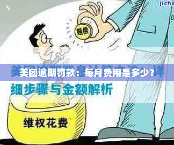 美团逾期罚款：每月费用是多少？