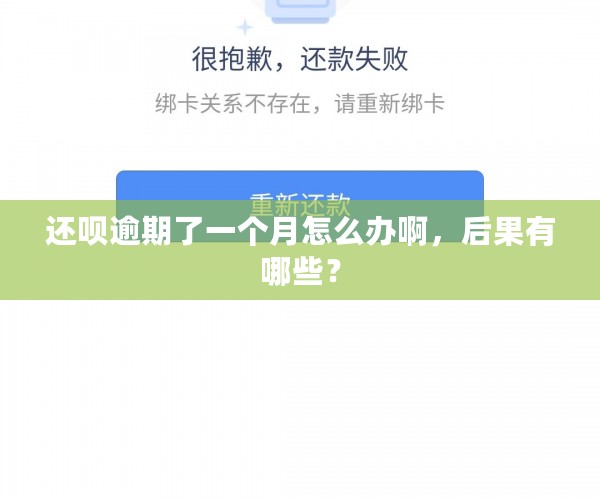 还呗逾期了一个月怎么办啊，后果有哪些？