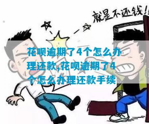 海口花呗逾期还款怎么还的方法