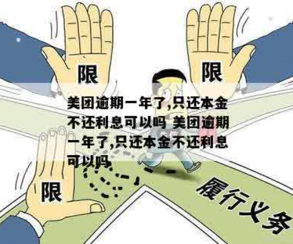 美团逾期一年了,只还本金不还利息可以吗？