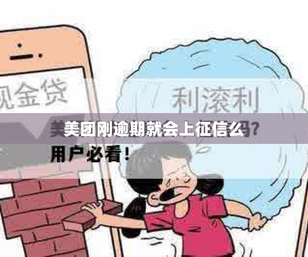 美团刚逾期就会上征信么