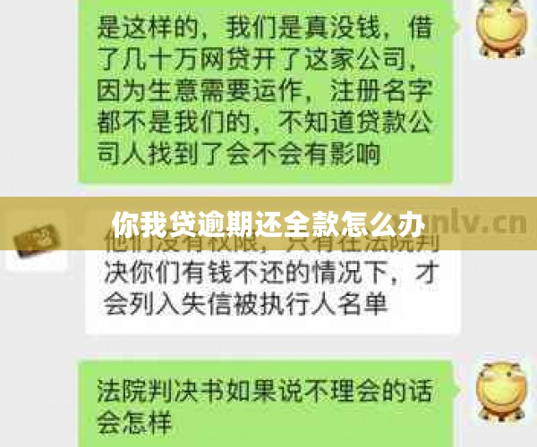 你我贷逾期还全款怎么办