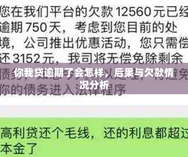 你我贷逾期了会怎样，后果与欠款情况分析