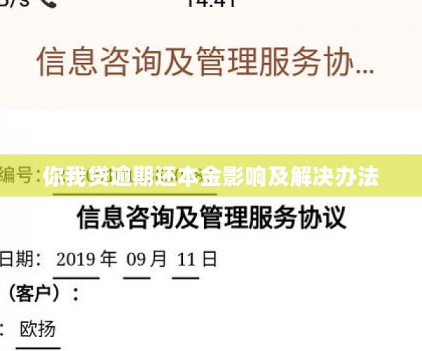 你我贷逾期还本金影响及解决办法