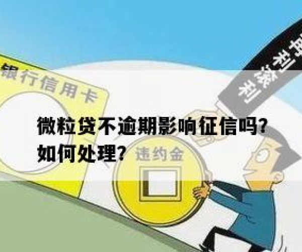 微粒贷谁逾期了怎么查征信