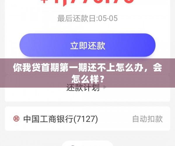 你我贷首期之一期还不上怎么办，会怎么样？