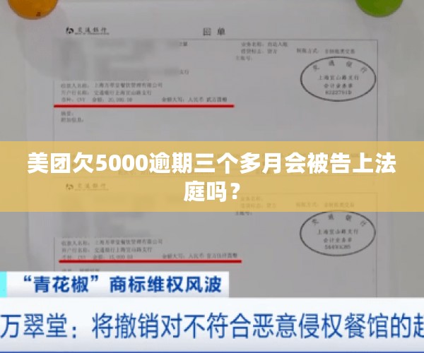 美团欠5000逾期三个多月会被告上法庭吗？