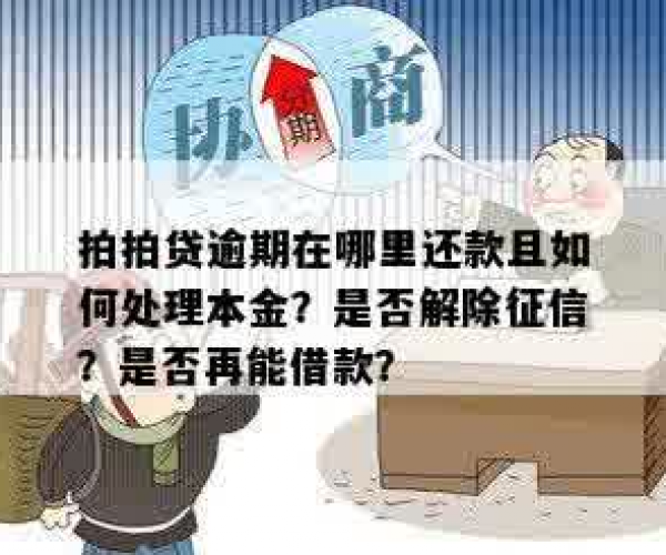 拍拍贷逾期多久可以还本金啊，怎么办？