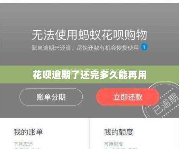 花呗逾期了还完多久能再用