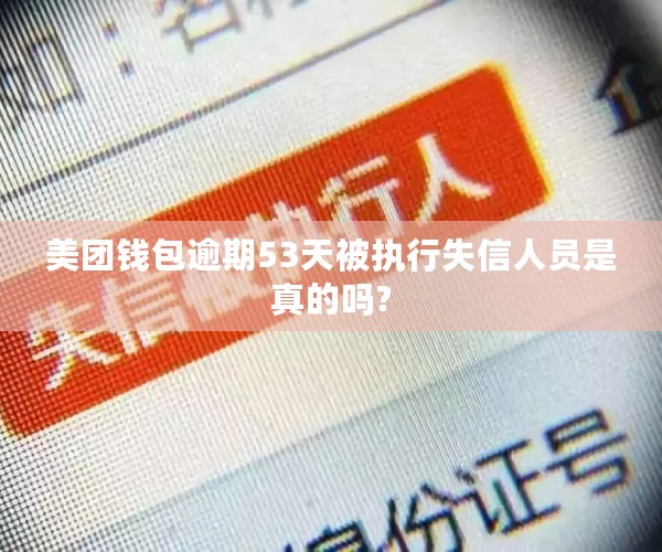 美团钱包逾期53天被执行失信人员是真的吗?