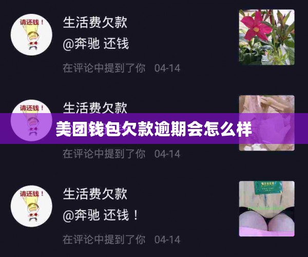 美团钱包欠款逾期会怎么样