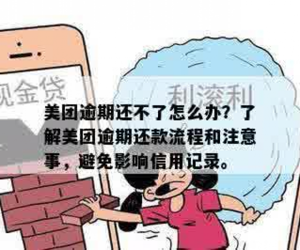 美团借贷逾期了怎么办？保持征信无污点，处理方法分享