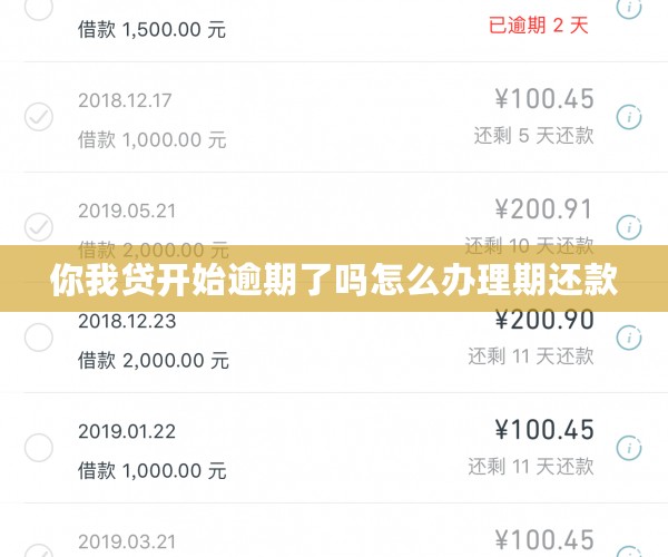 你我贷开始逾期了吗怎么办理期还款