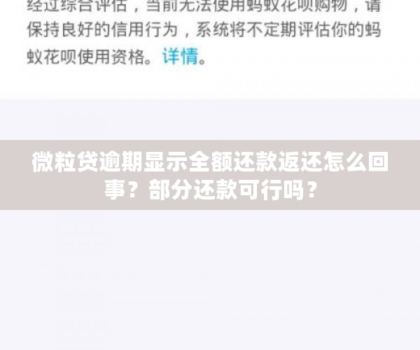 微粒贷逾期显示全额还款返还怎么回事？部分还款可行吗？