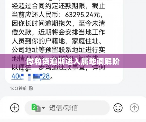 微粒贷逾期进入属地调解阶