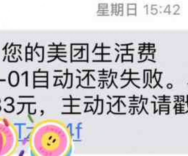 美团生活费欠款后果及法律责任