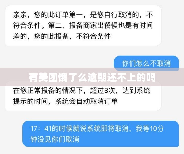 有美团饿了么逾期还不上的吗