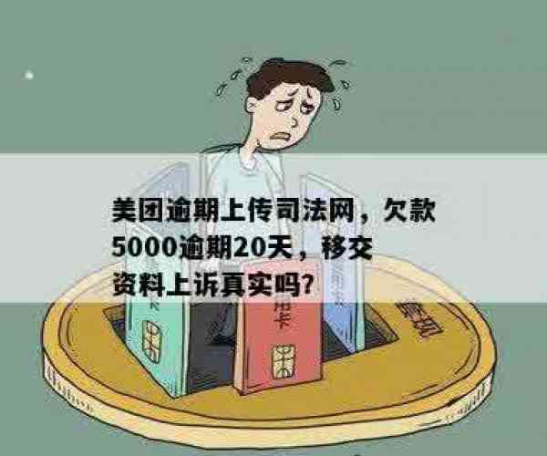 美团逾期20天,说要移交资料上诉是真的吗？