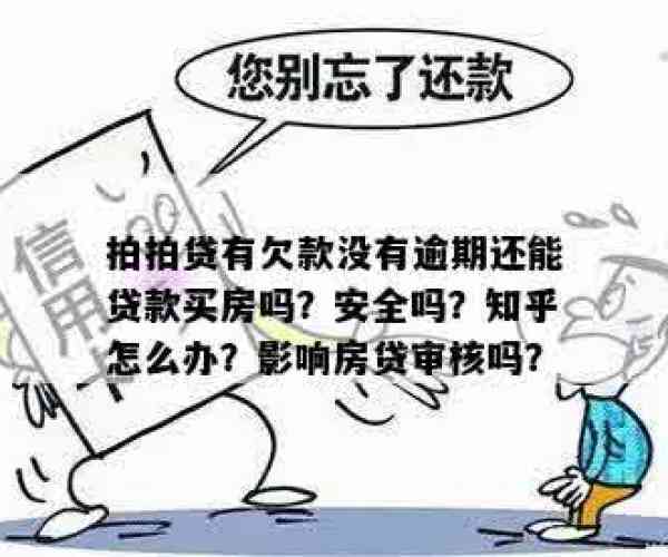 拍拍贷没有逾期会影响房贷的审核吗